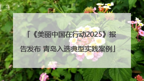《美丽中国在行动2025》报告发布 青岛入选典型实践案例
