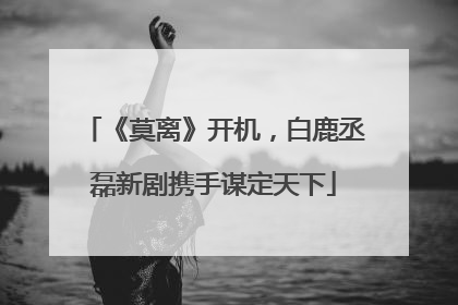《莫离》开机，白鹿丞磊新剧携手谋定天下