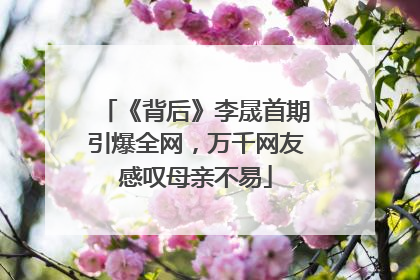 《背后》李晟首期引爆全网，万千网友感叹母亲不易