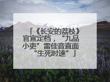 《长安的荔枝》官宣定档，“九品小吏”雷佳音直面“生死时速”