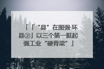 「“县”在图强·环县②」以三个第一挺起强工业“硬脊梁”