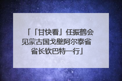 「甘快看」任振鹤会见蒙古国戈壁阿尔泰省省长钦巴特一行