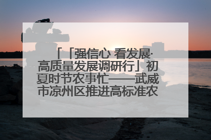 「强信心 看发展·高质量发展调研行」初夏时节农事忙——武威市凉州区推进高标准农田建设见闻