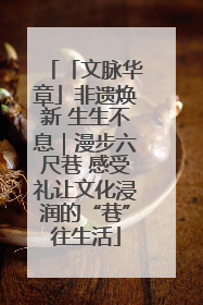 「文脉华章」非遗焕新 生生不息｜漫步六尺巷 感受礼让文化浸润的“巷”往生活