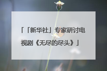 「新华社」专家研讨电视剧《无尽的尽头》
