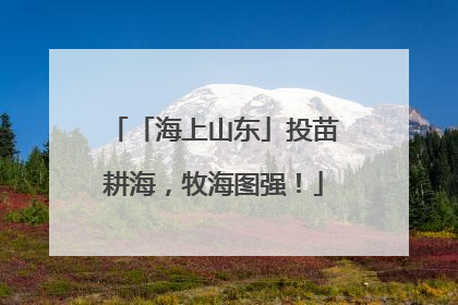 「海上山东」投苗耕海，牧海图强！