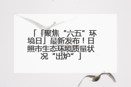 「聚焦“六五”环境日」最新发布！日照市生态环境质量状况“出炉”