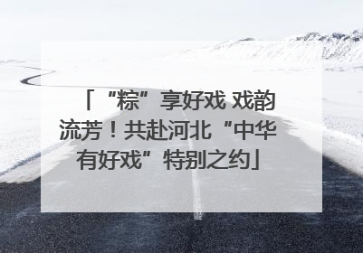 “粽”享好戏 戏韵流芳！共赴河北“中华有好戏”特别之约