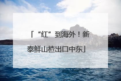 “红”到海外！新泰鲜山楂出口中东