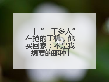 “一千多人”在抢的手机，他买回家：不是我想要的那种