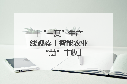 “三夏”生产一线观察丨智能农业“慧”丰收