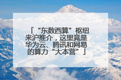 “东数西算”枢纽来沪推介，这里竟是华为云、腾讯和网易的算力“大本营”