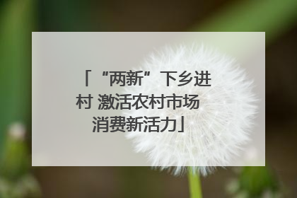 “两新”下乡进村 激活农村市场消费新活力