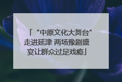 “中原文化大舞台”走进延津 两场豫剧盛宴让群众过足戏瘾