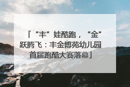 “丰”娃酷跑，“金”跃腾飞：丰金博苑幼儿园首届跑酷大赛落幕