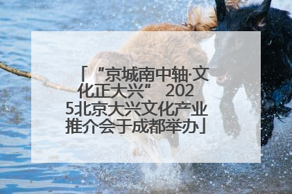 “京城南中轴·文化正大兴” 2025北京大兴文化产业推介会于成都举办