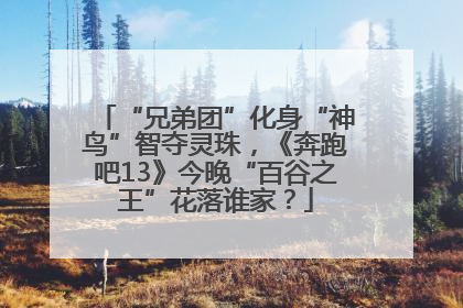 “兄弟团”化身“神鸟”智夺灵珠，《奔跑吧13》今晚“百谷之王”花落谁家？