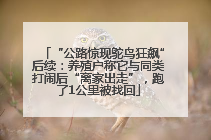 “公路惊现鸵鸟狂飙”后续：养殖户称它与同类打闹后“离家出走”，跑了1公里被找回