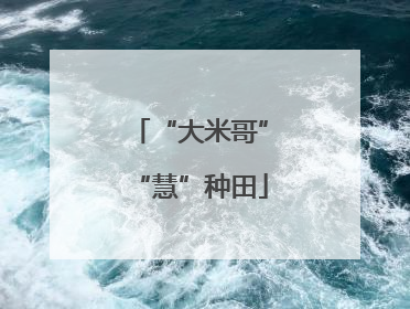 “大米哥”“慧”种田