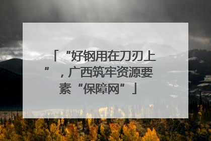 “好钢用在刀刃上”，广西筑牢资源要素“保障网”