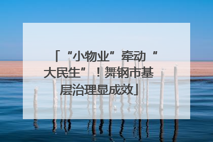 “小物业”牵动“大民生”！舞钢市基层治理显成效