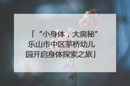 “小身体，大奥秘” 乐山市中区茅桥幼儿园开启身体探索之旅