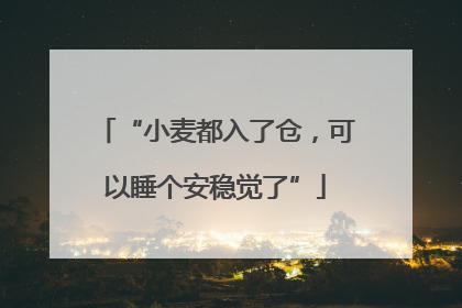 “小麦都入了仓，可以睡个安稳觉了”