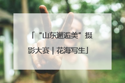 “山东邂逅美”摄影大赛｜花海写生