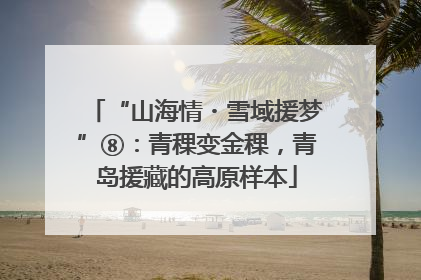 “山海情・雪域援梦”⑧：青稞变金稞，青岛援藏的高原样本