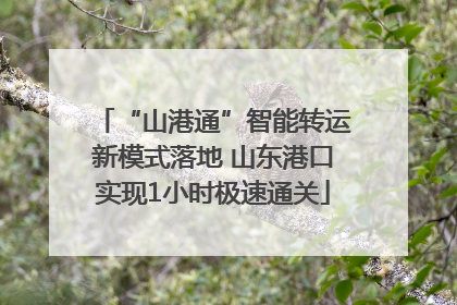 “山港通”智能转运新模式落地 山东港口实现1小时极速通关