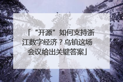 “开源”如何支持浙江数字经济？乌镇这场会议给出关键答案