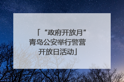 “政府开放月”青岛公安举行警营开放日活动
