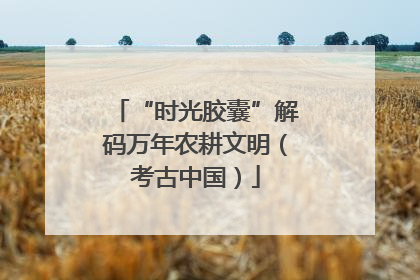 “时光胶囊”解码万年农耕文明（考古中国）