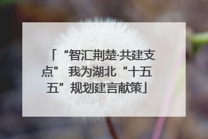 “智汇荆楚·共建支点” 我为湖北“十五五”规划建言献策