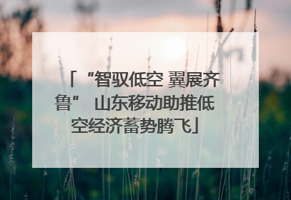 “智驭低空 翼展齐鲁” 山东移动助推低空经济蓄势腾飞