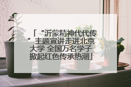 “沂蒙精神代代传”主题宣讲走进北京大学 全国万名学子掀起红色传承热潮