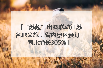 “苏超”出圈联动江苏各地文旅：省内景区预订同比增长305%