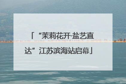 “茉莉花开·盐艺直达”江苏滨海站启幕