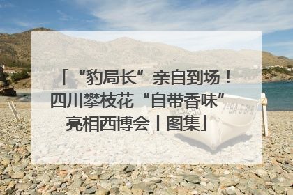 “豹局长”亲自到场！四川攀枝花“自带香味”亮相西博会丨图集