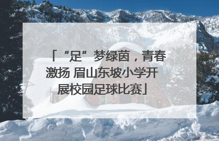 “足”梦绿茵，青春激扬 眉山东坡小学开展校园足球比赛