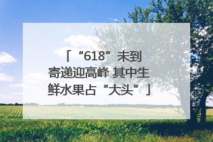 “618”未到 寄递迎高峰 其中生鲜水果占“大头”