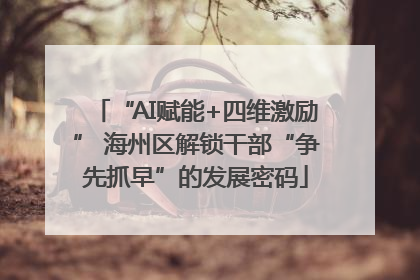 “AI赋能+四维激励” 海州区解锁干部“争先抓早”的发展密码
