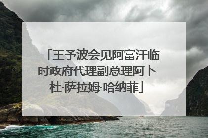 王予波会见阿富汗临时政府代理副总理阿卜杜·萨拉姆·哈纳菲