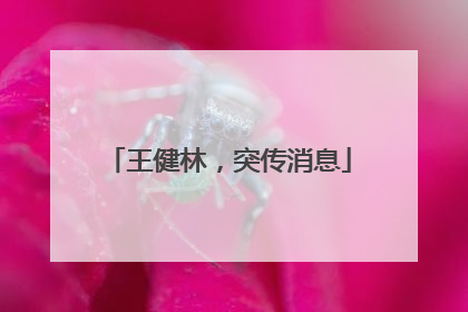 王健林，突传消息