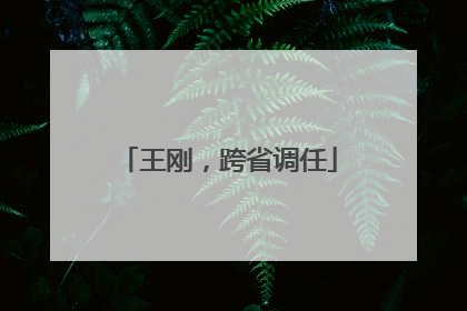王刚，跨省调任