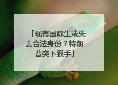 现有国际生或失去合法身份？特朗普突下狠手
