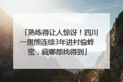 熟练得让人惊讶！四川一黑熊连续3年进村偷蜂蜜，藏哪都找得到