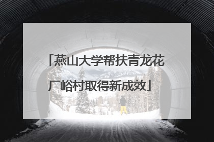 燕山大学帮扶青龙花厂峪村取得新成效