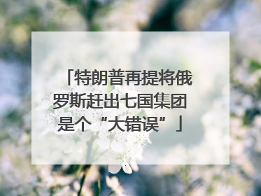 特朗普再提将俄罗斯赶出七国集团是个“大错误”