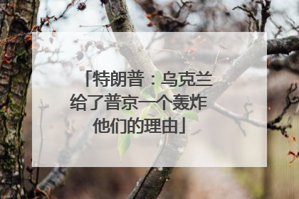 特朗普：乌克兰给了普京一个轰炸他们的理由